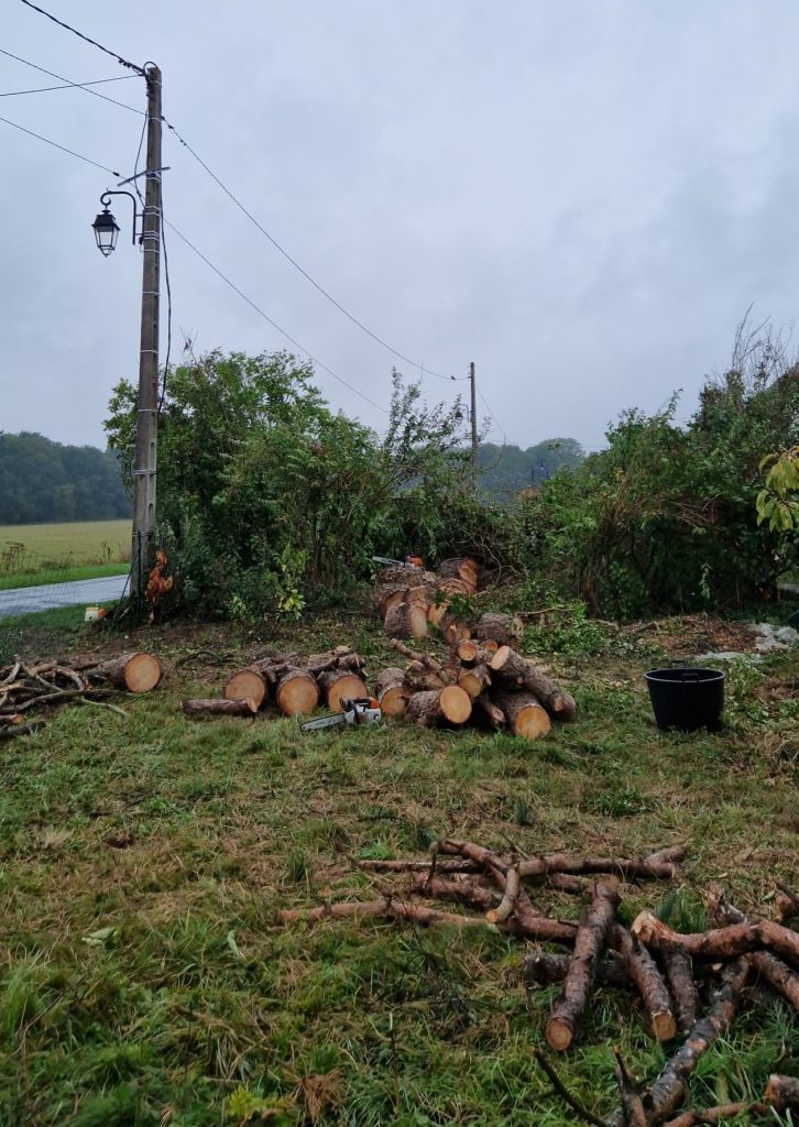 Abattage d’Arbres Dangereux a coulommiers en seine et marne 